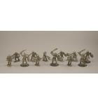 Bago 12 Orc Warriors finished