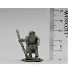 Hedge Wizard pewter