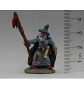 Wizard with Staff painted